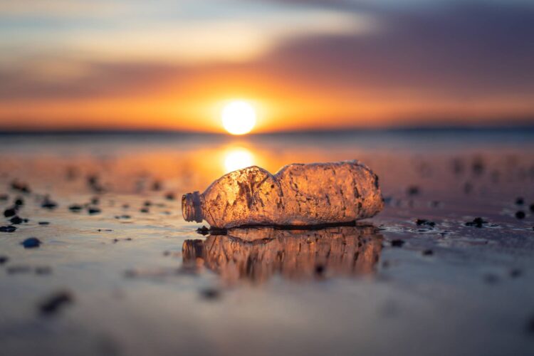 Consequences of a Plastic Addiction